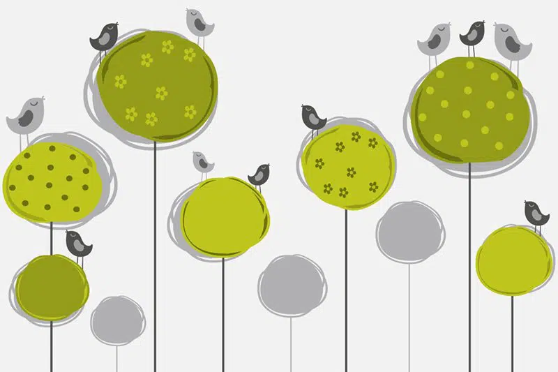 Tapeta z zielonym drzewkiem Fototapeta zielone drzewko