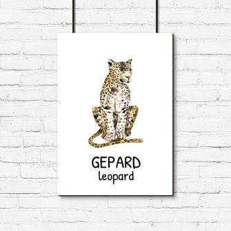plakat z napisem gepard - dla dzieci