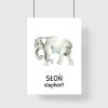 Plakat edukacyjny ze słoniem dla dziecka