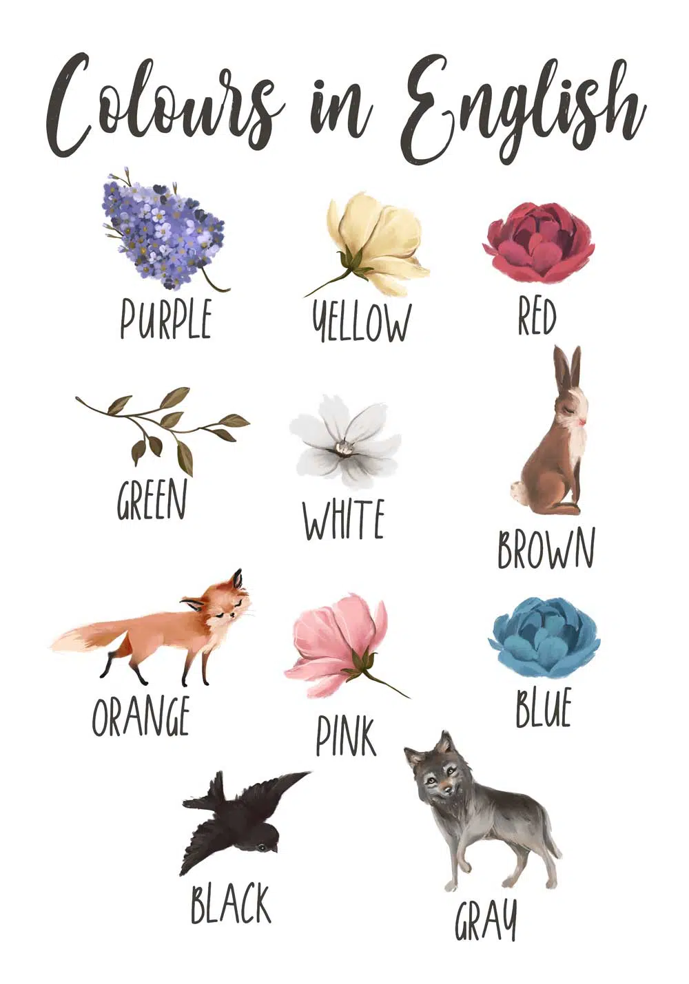 Plakat z kolorami dla dzieci - Fioletowy bez