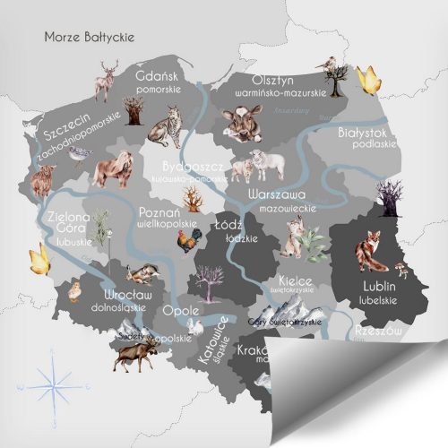 Fototapeta z mapą Polski